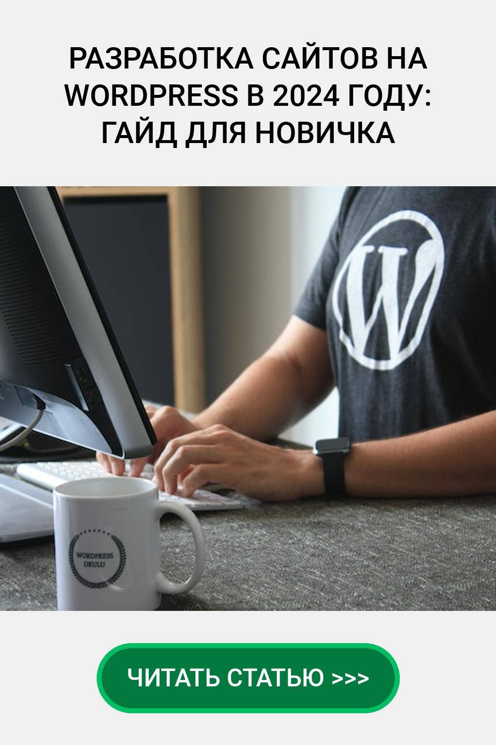 Разработка сайтов на WordPress в 2024 году: гайд для новичка