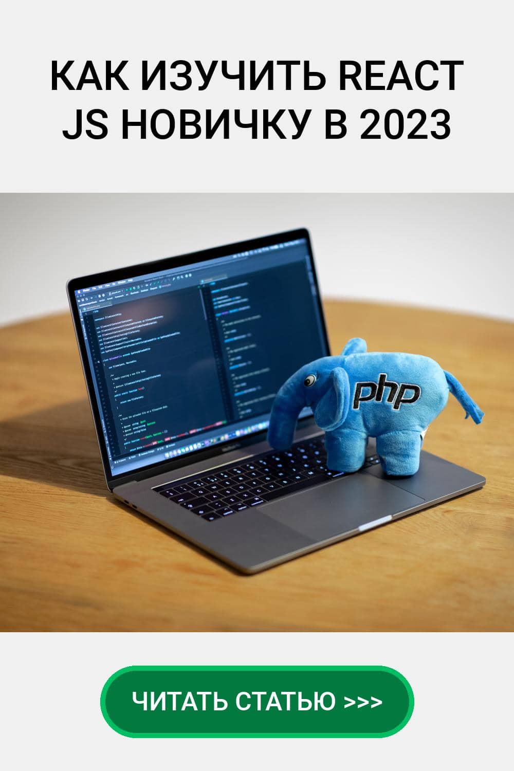 как изучить React JS новичку в 2023