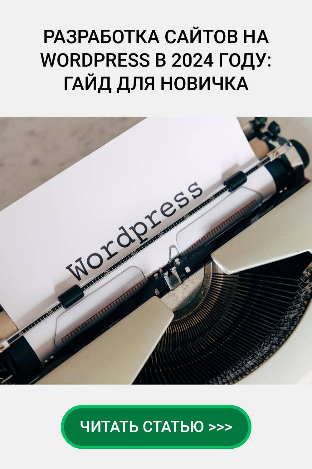 Разработка сайтов на WordPress в 2024 году: гайд для новичка