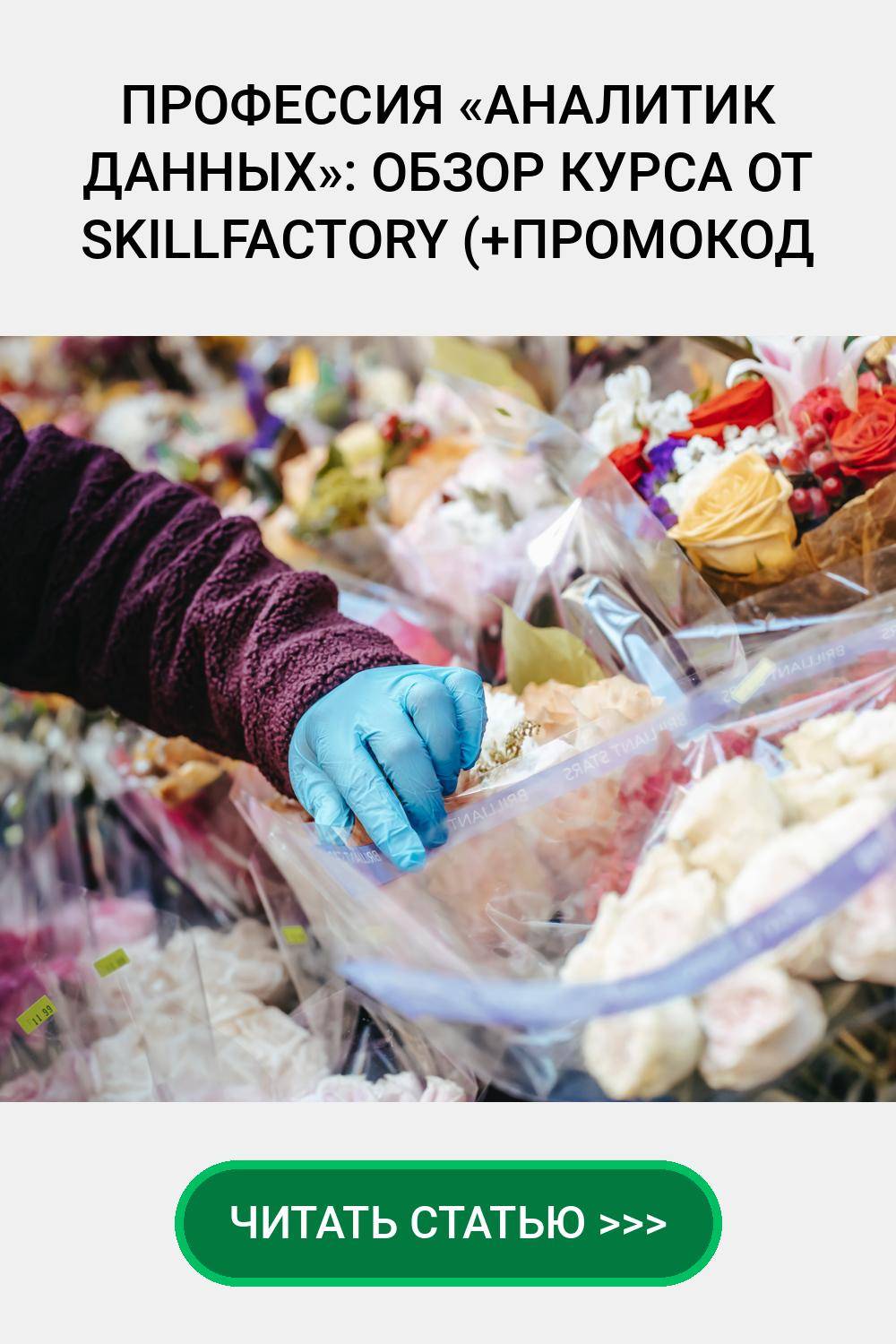 Профессия аналитика данных Skillfactory