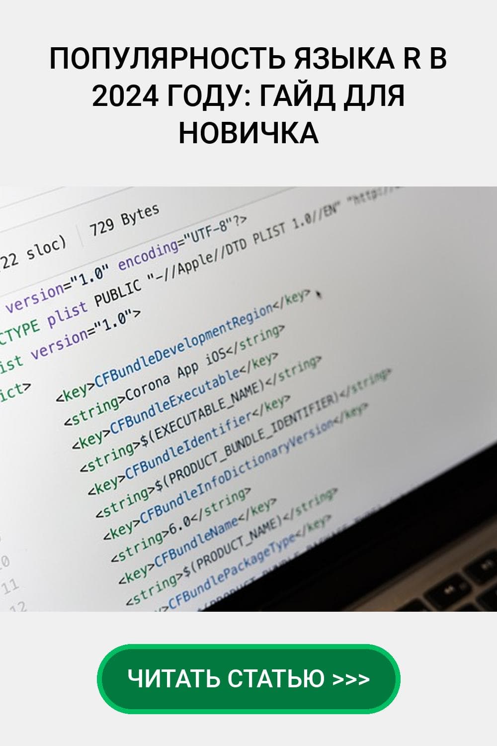 Популярность Языка R в 2024 году: Гайд для новичка